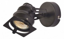 Спот Lussole Loft LSP-9118