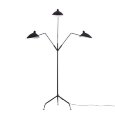  Delight Collection · Floor Lamp · TF8505-3 black