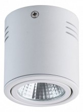 Накладной светильник MW-Light Круз 2 637014101