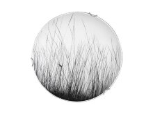 Nowodvorski · Black grass · 5653