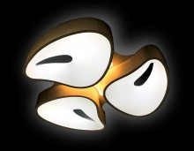 Ambrella · Orbital · FG2083 WH 96W+12W D730*690