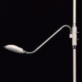  MW-Light · 300042902