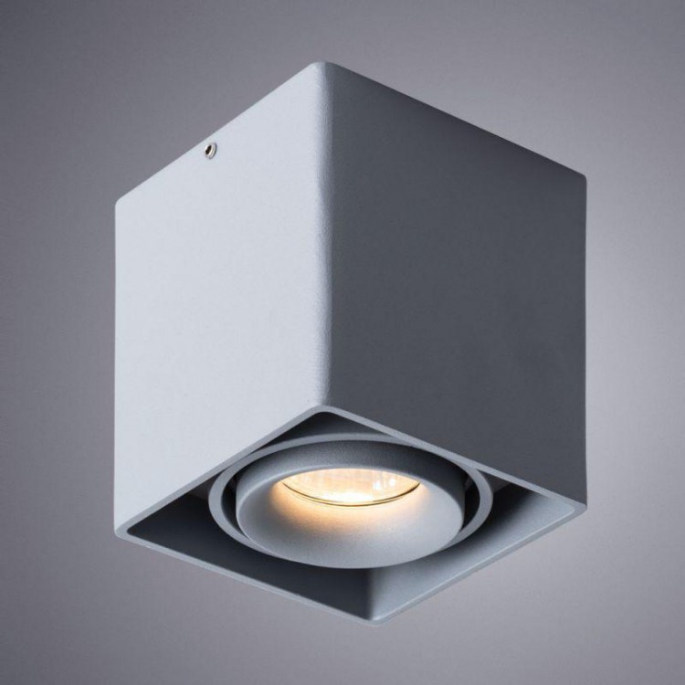  Arte Lamp · PICTOR · A5654PL-1GY