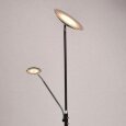  MW-Light · 300043002