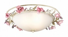 Накладной светильник Odeon Light Oxonia 2585/3