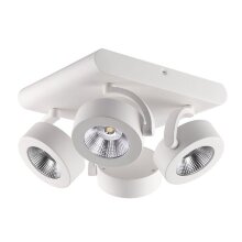 Odeon Light · Pumavi · 3493/40CL