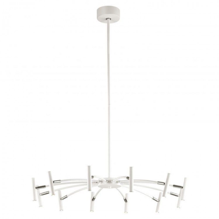  Favourite · Cornetta · 2122-12P
