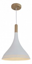 Подвесной светильник ST Luce SL710.503.01