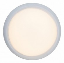 Накладной светильник Brilliant Vigor G94151/05
