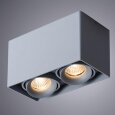  Arte Lamp · PICTOR · A5654PL-2GY