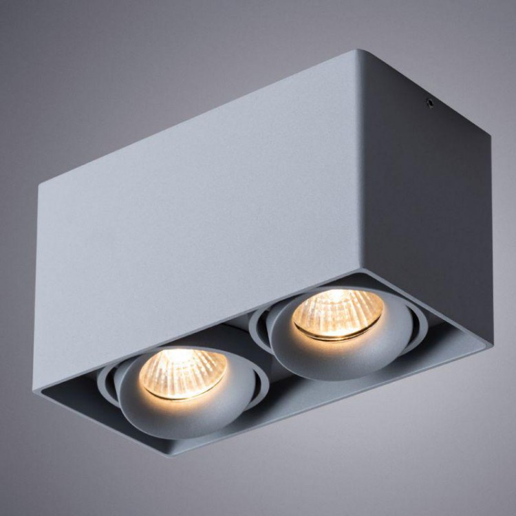  Arte Lamp · PICTOR · A5654PL-2GY