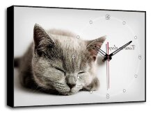 Настенные часы Серая кошка Brilliant Bl-2402 (60 x 37 см)