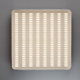  Накладной светильник MW-Light Граффити 678011901