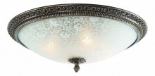 Накладной светильник ST Luce Fascino SL135.402.04
