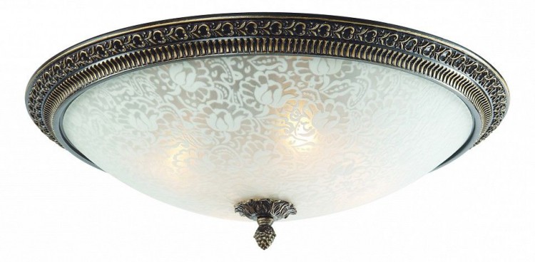  Накладной светильник ST Luce Fascino SL135.402.04