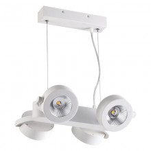 Odeon Light · Pumavi · 3493/40L