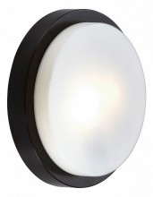 Накладной светильник Odeon Light Holger 2744/2C