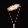  MW-Light · 300043501