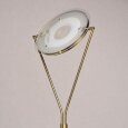  MW-Light · 300043501