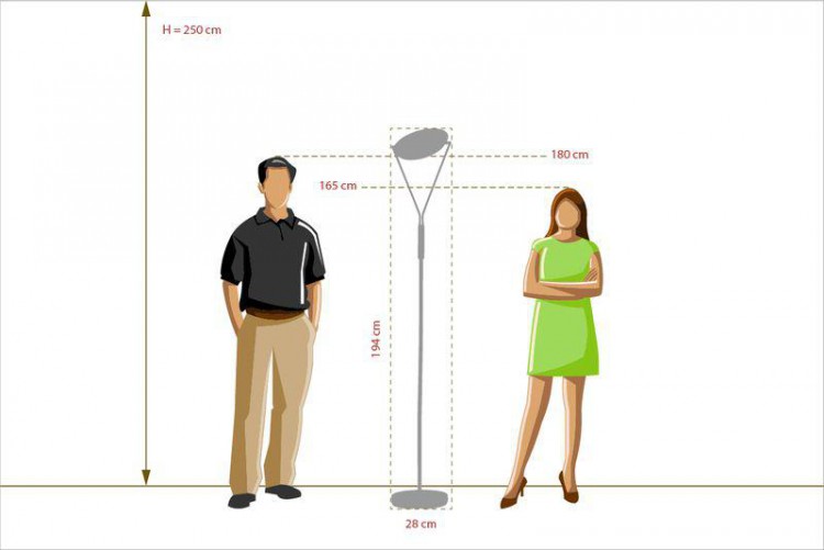  MW-Light · 300043501