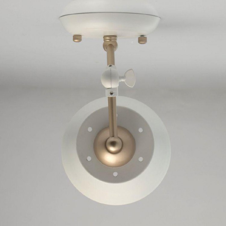  MW-Light · 691021701