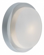 Накладной светильник Odeon Light Holger 2745/1C