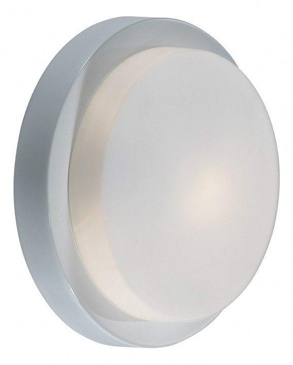  Накладной светильник Odeon Light Holger 2745/1C