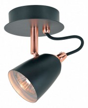 Спот Lussole Loft LSP-9851