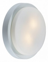 Накладной светильник Odeon Light Holger 2745/2C