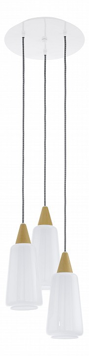  Подвесной светильник Eglo Pentone 93688