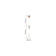  Favourite · Tibia · 2217-1P