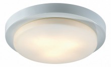 Накладной светильник Odeon Light Holger 2745/3C
