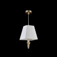  Maytoni · Rive gauche · ARM854-22-G