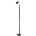  MW-Light · 300044001