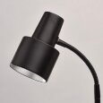  MW-Light · 300044001