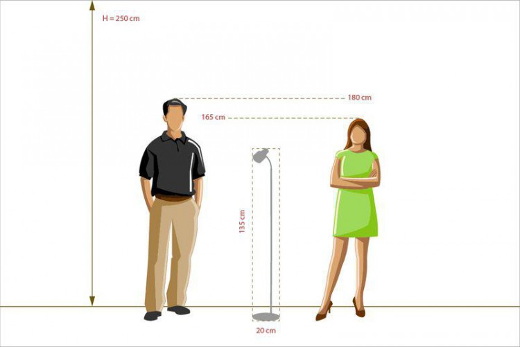  MW-Light · 300044001