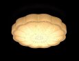  Ambrella · Orbital fly · F555 WH 15W 4200K D300