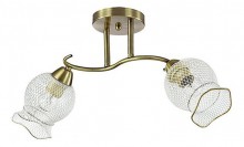 Светильник на штанге Lumion Rozetta 3109/2C