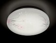  Ambrella · Orbital fly · F560 WH 15W 4200K D300