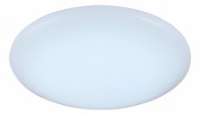 Накладной светильник ST Luce SL875.442.01