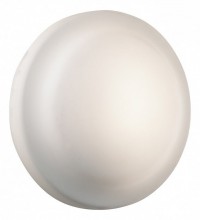 Накладной светильник Odeon Light Tavoy 2760/1C
