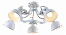 Arte Lamp · Martin · A5216PL-5WG