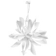 Lightstar · Turbio · 754266