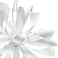 Lightstar · Turbio · 754266