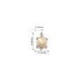  Favourite · Turtle · 2255-1W