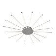  Favourite · Aster · 2379-16U