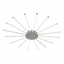 Favourite · Aster · 2379-16U