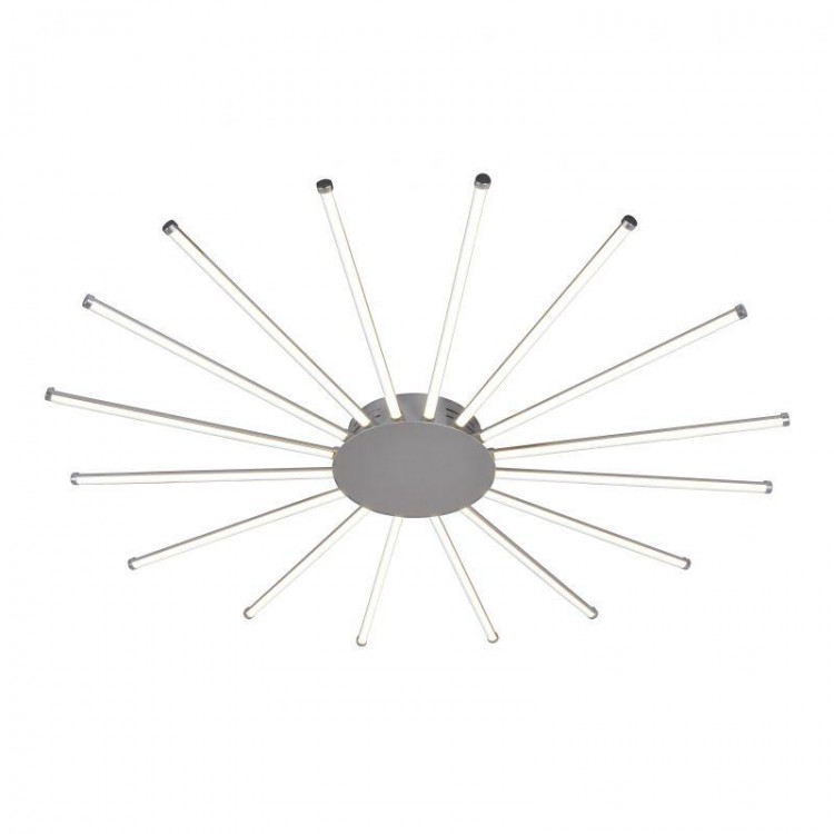 Favourite · Aster · 2379-16U