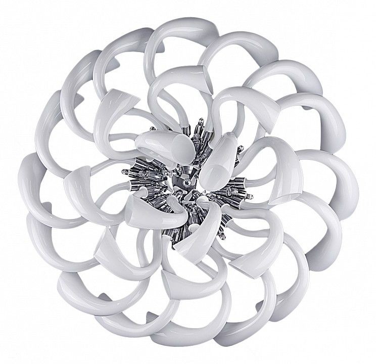 Lightstar · Stella · 892166