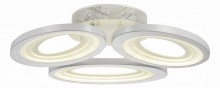 Потолочная люстра ST Luce SL895.502.03